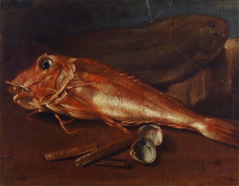 Anonimo, XVIII Sec. - Natura Morta con Pesce