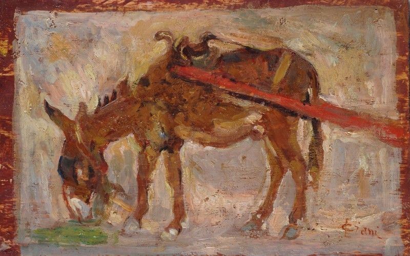 Cesare Ciani - Asinello