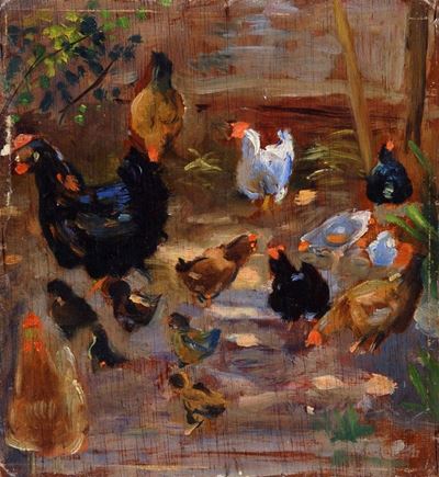 Galline