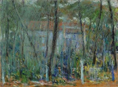 Veduta del Giardino della Casa Dell'artista a Lido di Camaiore