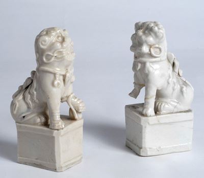 Coppia di Cani di Pho