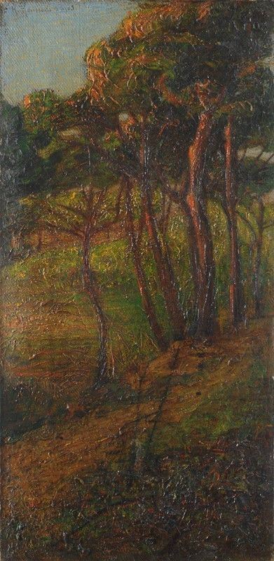 Renuccio Renucci : Pineta  (1903)  - Olio su tela - Asta Autori del XIX e XX sec. - II - Galleria Pananti Casa d'Aste