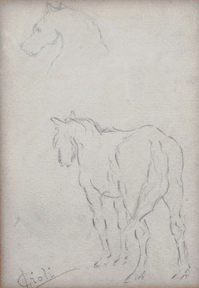 Studio di Cavalli