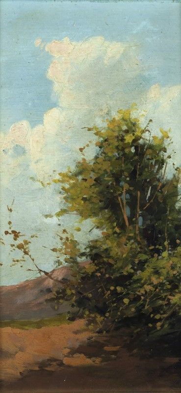 Alberi