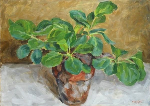 Nelusco Sarti - Vaso con pianta