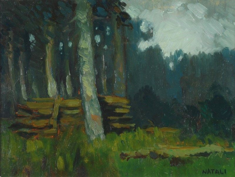 Renato Natali - Sottobosco
