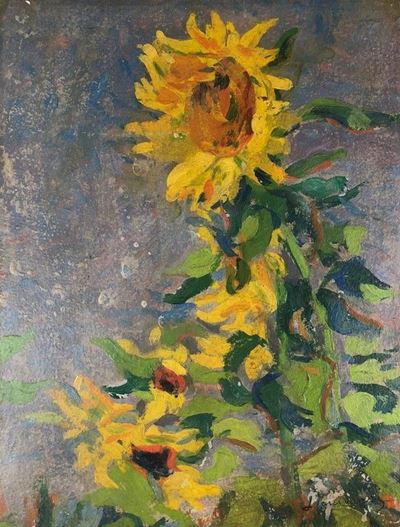 Girasole
