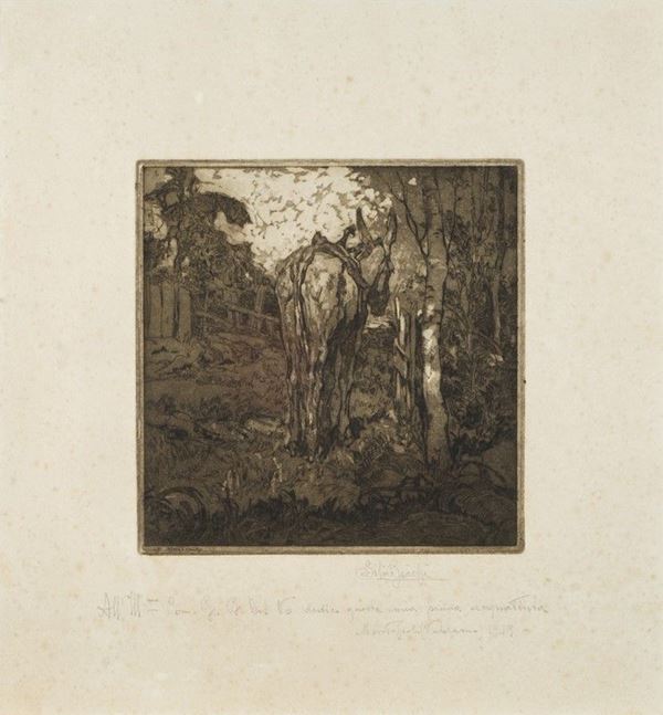 Silvio Bicchi - Il mulo