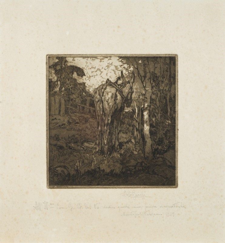 Silvio Bicchi - Il Mulo