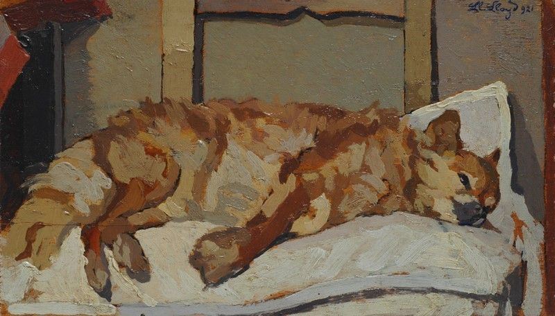 Llewelyn Lloyd - Gatto