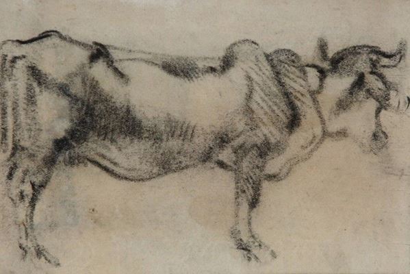Arturo Checchi : Bue  - Matita su carta - Auction ARTURO CHECCHI Disegni ed incisioni - Galleria Pananti Casa d'Aste