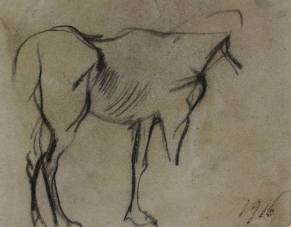 Arturo Checchi - Studio per cavallo