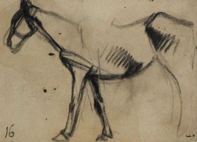 Studio per Cavallo