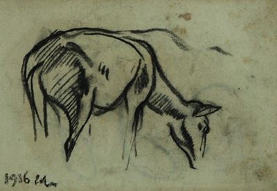 Capra