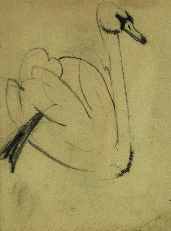 Arturo Checchi - Cigno