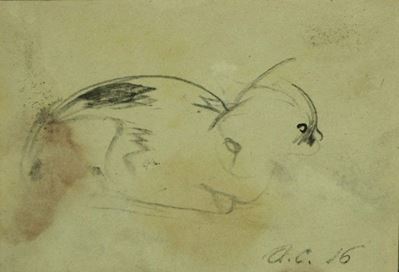 Gattino
