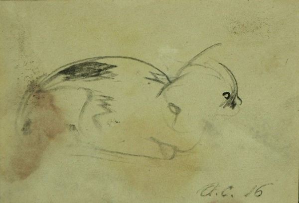 Arturo Checchi - Gattino