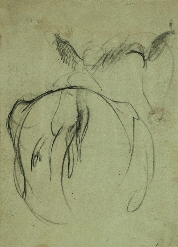 Arturo Checchi - Studio per asino