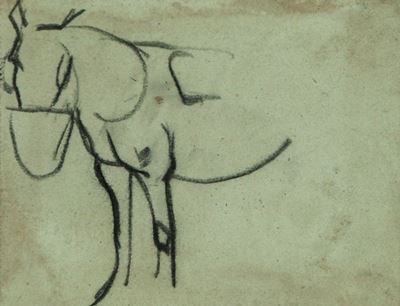 Studio per Cavallo