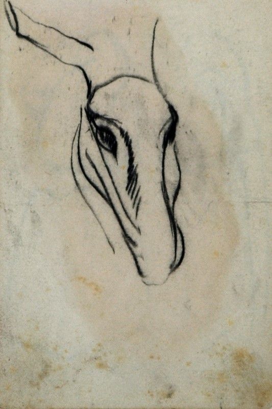 Libro Contenente 27 Disegni Arturo Checchi - "vita di Paese"