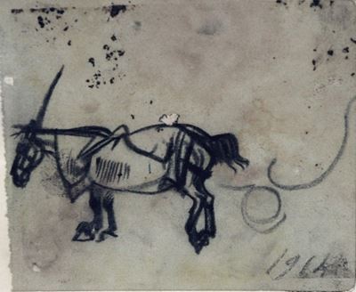 Cavallo