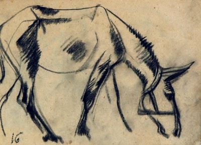 Cavallo
