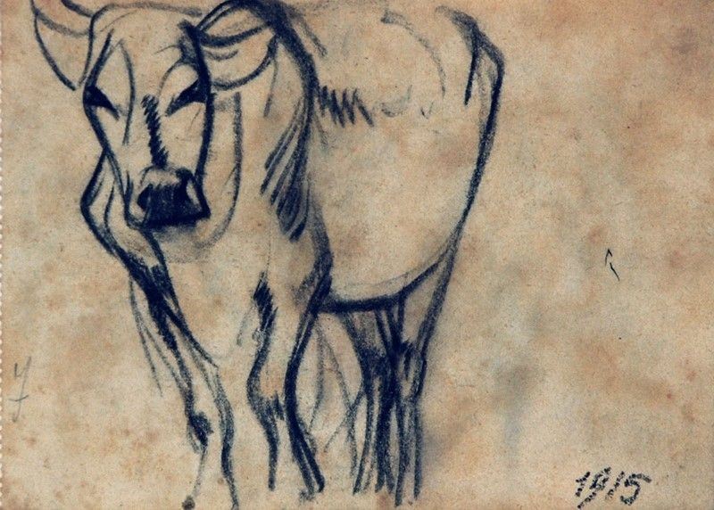 Arturo Checchi - Mucca