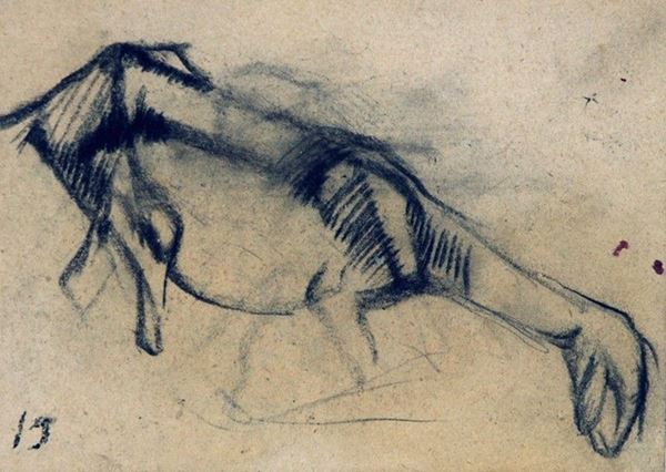 Arturo Checchi : Capra  (1915)  - Matita su carta - Asta ARTURO CHECCHI Disegni ed incisioni - Galleria Pananti Casa d'Aste