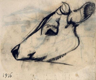 Testa di Mucca