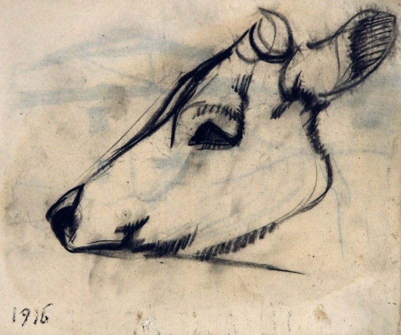 Arturo Checchi - Testa di Mucca