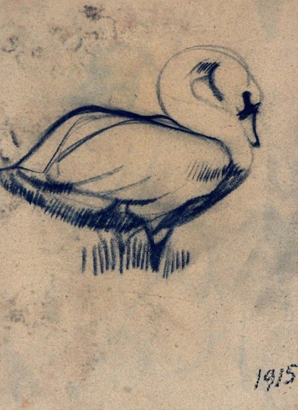 Arturo Checchi - Cigno