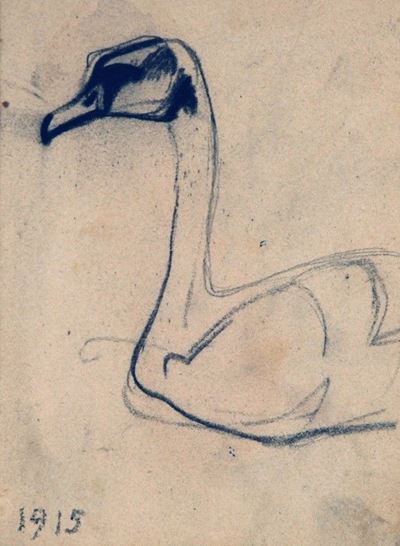 Cigno