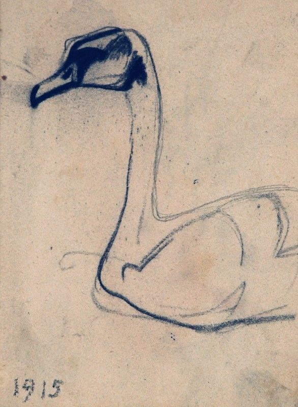 Arturo Checchi : Cigno  (1915)  - Matita su carta - Asta ARTURO CHECCHI Disegni ed incisioni - Galleria Pananti Casa d'Aste