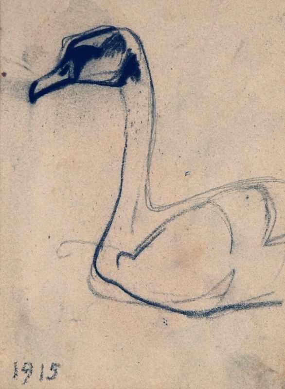 Arturo Checchi - Cigno