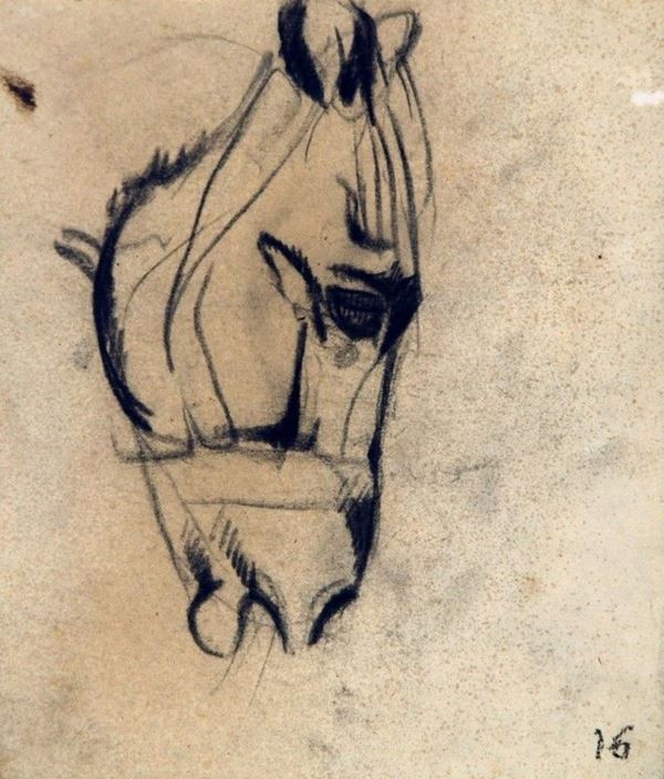 Arturo Checchi : Testa di mulo  (1916)  - Matita su carta - Asta ARTURO CHECCHI Disegni ed incisioni - Galleria Pananti Casa d'Aste