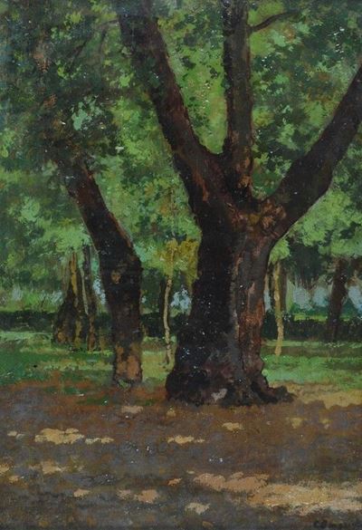 Alberi