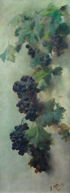 Garibaldo Cepparelli - Uva
