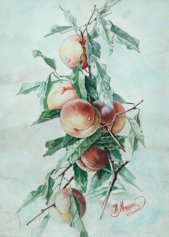 Michelangelo Meucci : Peaches  - Watercolor on paper - Auction AUTHORS OF XIX AND  [..]