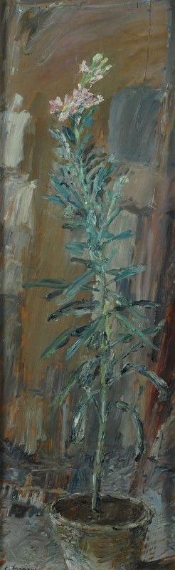 Enzo Faraoni - Fiore