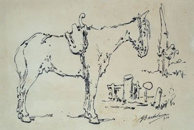 Cavallo