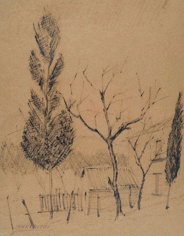 Renato Barlacchi - Alberi