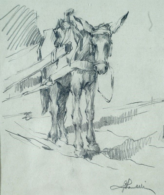 Giuseppe Santelli - Ciuchino