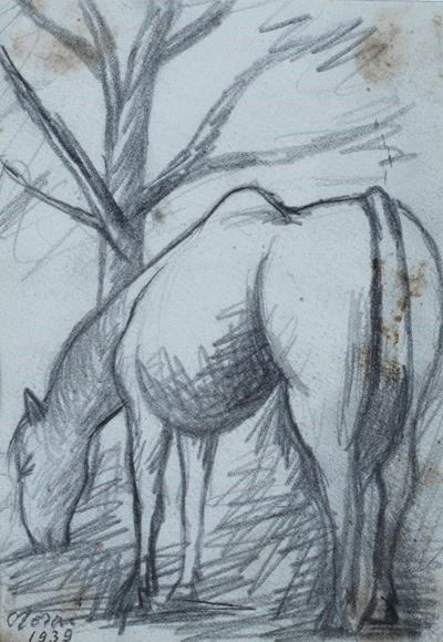 Cavallo