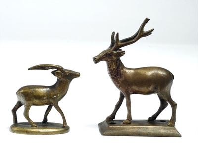 Antilope e Cervo