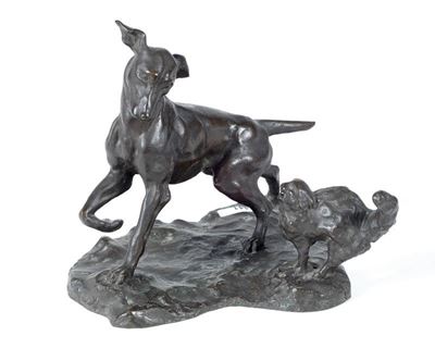 Cane e Gatto