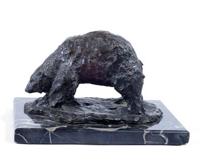 Orso