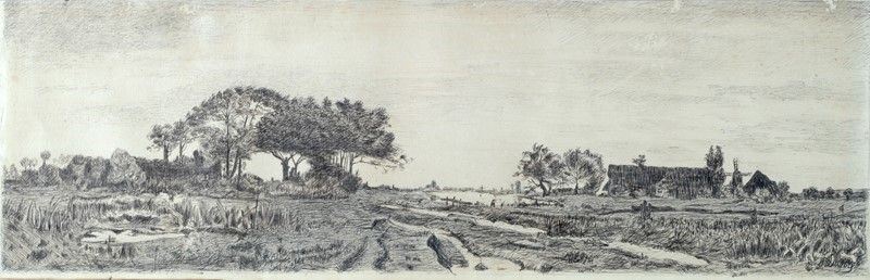 Anonimo, XIX Sec. - Campagna