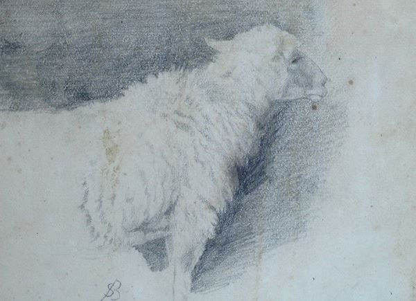 Stefano Bruzzi : Pecora  - Matita su carta - Auction ASTA FUORI ASTA - Galleria Pananti Casa d'Aste