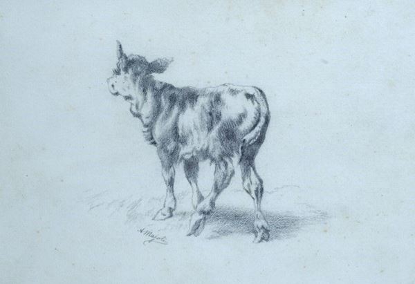 Ada Maioli Invernizi : Ox  - Pencil on paper - Auction AUTHORS OF XIX AND XX CENTURY  [..]