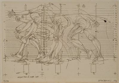 Studi Anatomici